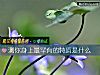 《測你身上最罕有的<i>特質</i>是什麼》测试