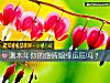 《測本年你的<i>感情</i>姻緣運旺嗎？》测试