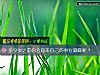 《多少歲之前你會迎來自己的事業巅峰呢？》测试