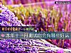《本年十一月測試你會有哪些<i>好運</i>》测试