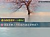 《測本年情人節你能否遇見<i>愛情</i>呢？》测试