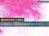 《測試你三月份升職加薪的幾率大不大》测试