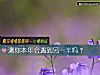 《測你本年會<i>遇到</i>另一半嗎？》测试