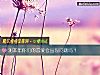 《測本年你們的<i>戀愛</i>會出現問題嗎？》测试