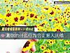 《測你的什麼行爲會讓<i>愛人</i>厭倦》测试