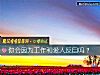 《你會因爲工作和愛人反目嗎？》测试
