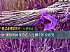 《測你的真愛會在人生<i>哪個</i>階段遇到》测试