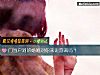 《門當戶對的<i>婚姻</i>對你來說圓滿嗎？》测试
