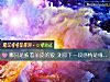 《哪只是披著羊皮的狼 測你下一段<i>感情</i>是緣還是劫數》测试