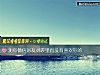 《測你微信好友列表裏<i>有沒有</i>喜歡你的》测试