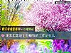 《測本年最能讓你賺錢的工作是什麼》测试