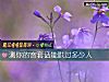 《測你的客套話能哄過多少人》测试