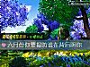 《六月份你要提防誰在背後陰你》测试