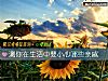 《測你在<i>生活</i>中要小心哪些親戚》测试