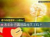 《本年你會<i>遇到</i>真命天子嗎？》测试