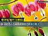 《決定你<i>人生</i>高低的領悟力有多少呢？》测试