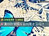 《測你的<i>愛情</i>沒面包能走遠嗎？》测试