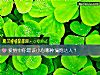 《<i>愛情</i>中你最該小心哪種騙炮達人？》测试