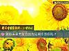 《測你未來<i>男友</i>會因爲兄弟冷落你嗎？》测试