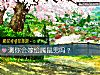 《測你會<i>嫁給</i>屬鼠男嗎？》测试