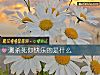 《測殺死你<i>快樂</i>的是什麼》测试