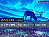 《你<i>想要</i>哪棵三葉草 測你下個月的好運指數》测试
