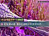 《超准測試題 測你在<i>感情</i>中扮演的角色》测试
