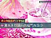《測未來你<i>婚後</i>的福氣有多少》测试
