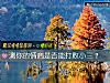 《測你的<i>情商</i>是否能打敗小三？》测试