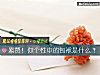 《累贅！你個性中的包袱是什麼？》测试