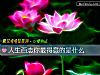 《<i>人生</i>百態你最得意的是什麼》测试
