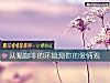 《從喝咖啡的環境測你的<i>愛情</i>觀》测试