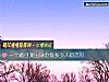 《一個題目測出身邊有多少人<i>暗戀</i>你》测试