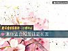 《測你<i>適合</i>短發還是長發》测试