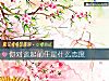《你對談起<i>前任</i>是什麼態度》测试