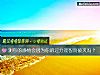 《測你的<i>感情</i>會因爲你的過分理智而破滅嗎？》测试