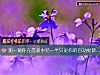 《測一測你在戀愛中<i>另一半</i>只是你的自動提款機嗎？》测试