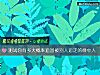 《測試你有多大概率追回被別人追走的<i>意中人</i>》测试
