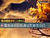 《最准城府<i>心機</i>測試你腹黑段位》测试