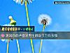 《測試你的聲音對男生的<i>吸引力</i>有多強》测试