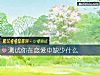 《測試你在<i>戀愛</i>中缺少什麼》测试