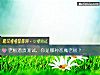 《老板潛質測試，你是哪種惡魔老板？》测试