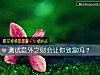 《測試<i>意外</i>之財會讓你致富嗎？》测试