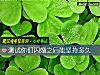 《測試你們閃婚之後能堅持<i>多久</i>》测试