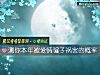 《測你本年被<i>愛情</i>騙子禍害的概率》测试