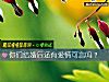 《你們結婚後還有<i>愛情</i>可言嗎？》测试