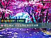 《命運測試 <i>人生</i>運勢旺衰免費測算》测试