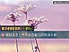 《測你本年上半年是否能完成終身大事》测试