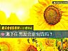 《測<i>下任</i>男友會更有錢嗎？》测试