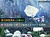 《失戀的你會處于空窗期還是開啓下段<i>感情</i>》测试